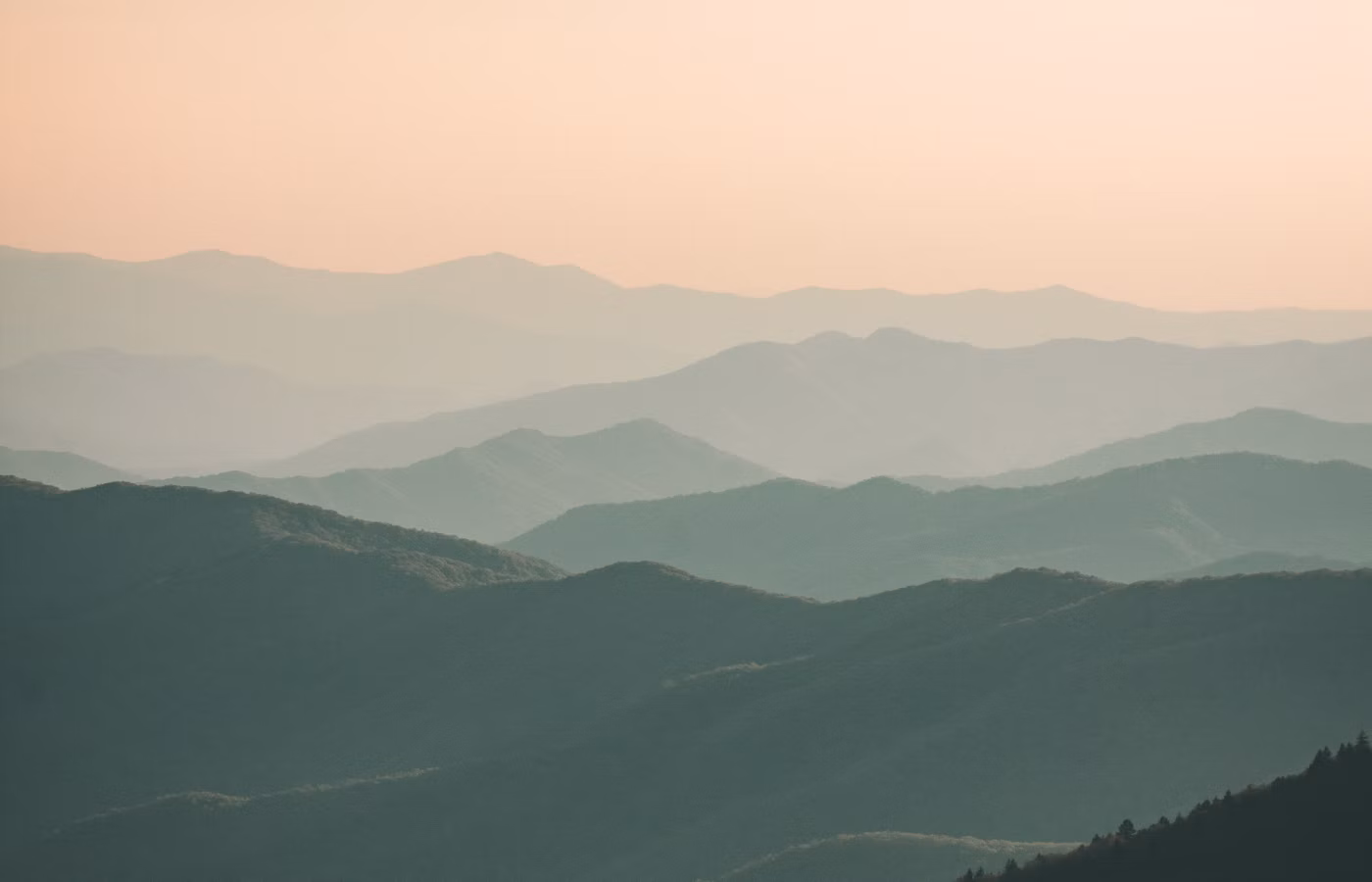 Карта решений для предпринимателя